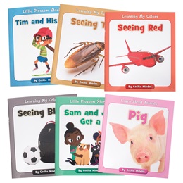 Beginning Reader Book Set