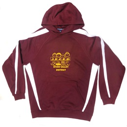 Striped Sleeve Hoodie