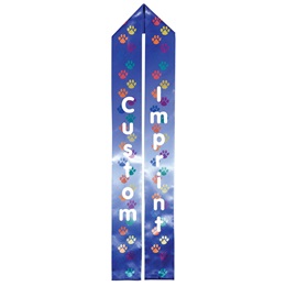 Full-color Custom Graduation Sash-On Track to Success